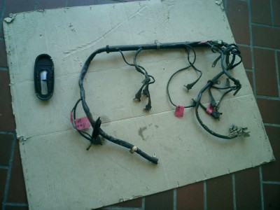 CIMG0996.JPG